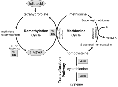 The skinny on Metabolic Syndrome